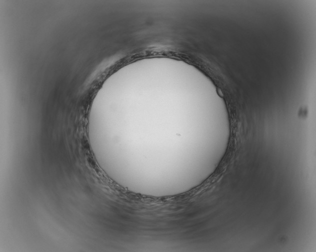 X0000110771207200906150945