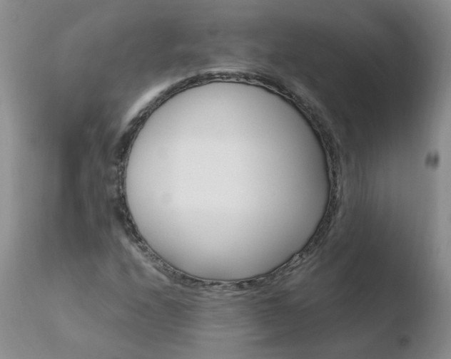 X0000110771208200906150945