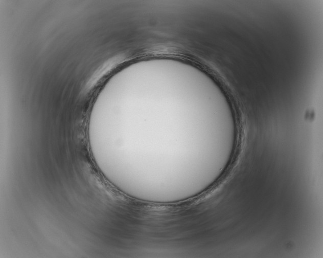 X0000110771211200906150945
