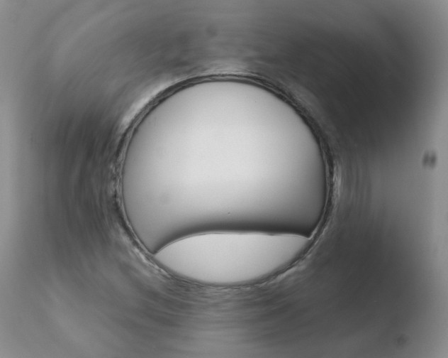 X0000110771212200906150945