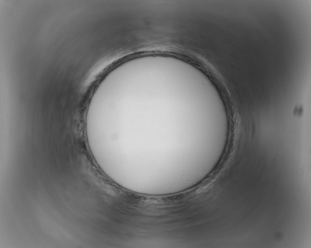 X0000110771215200906150946