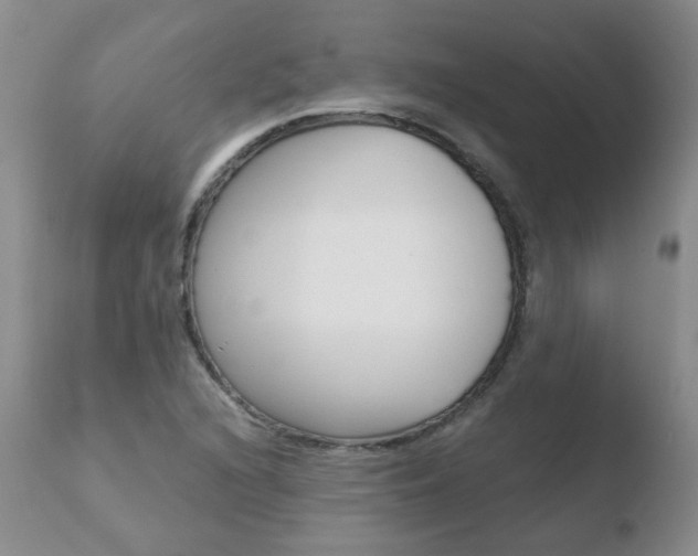 X0000110771216200906150946