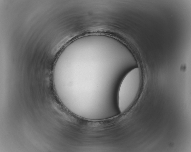 X0000110771217200906150946