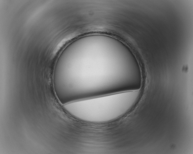 X0000110771218200906150946