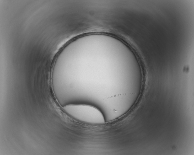 X0000110771220200906150946