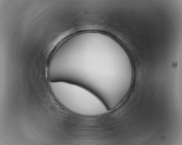 X0000110771221200906150946