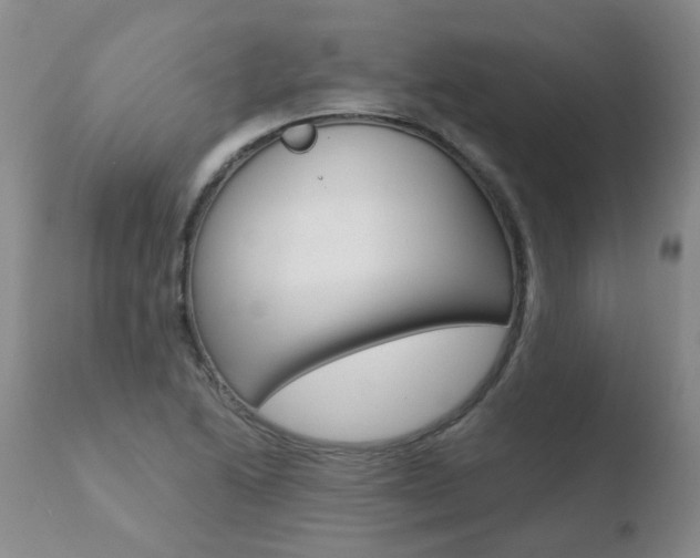 X0000110771222200906150946