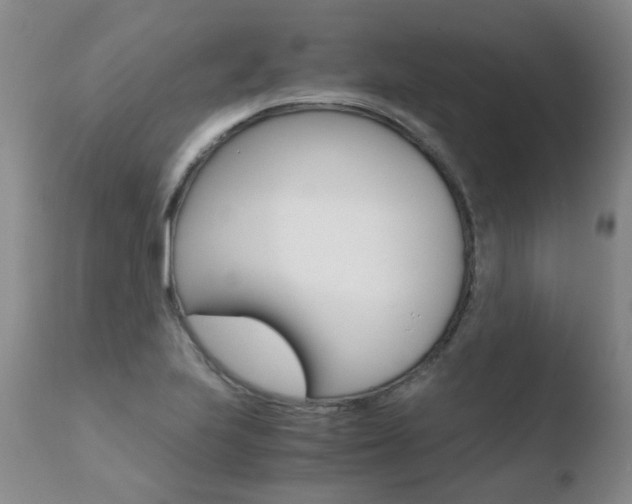 X0000110771223200906150946