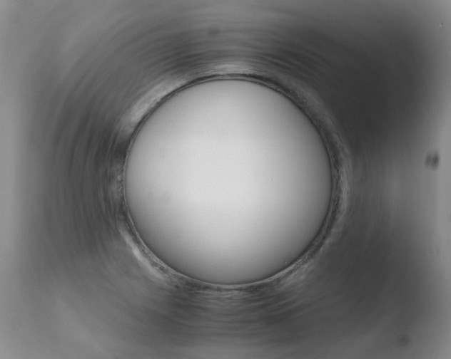 X0000110771225200906150946