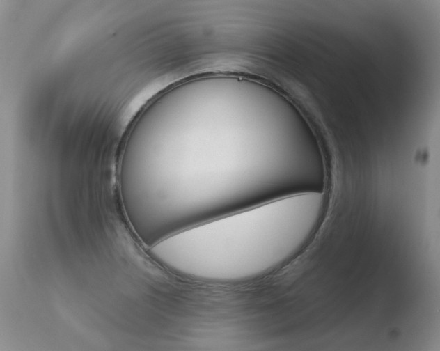 X0000110771226200906150946