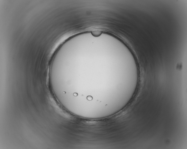 X0000110771227200906150946
