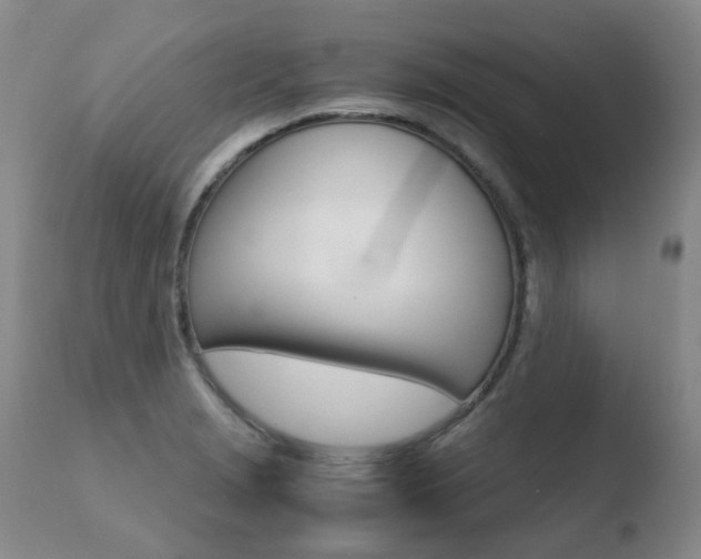 X0000110771229200906150946