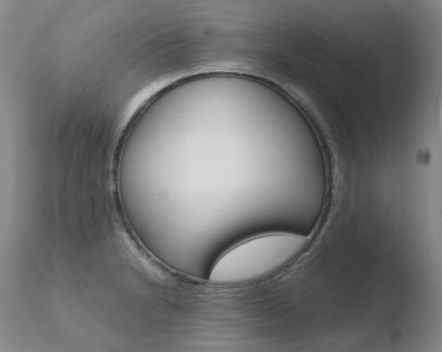 X0000110771230200906150946