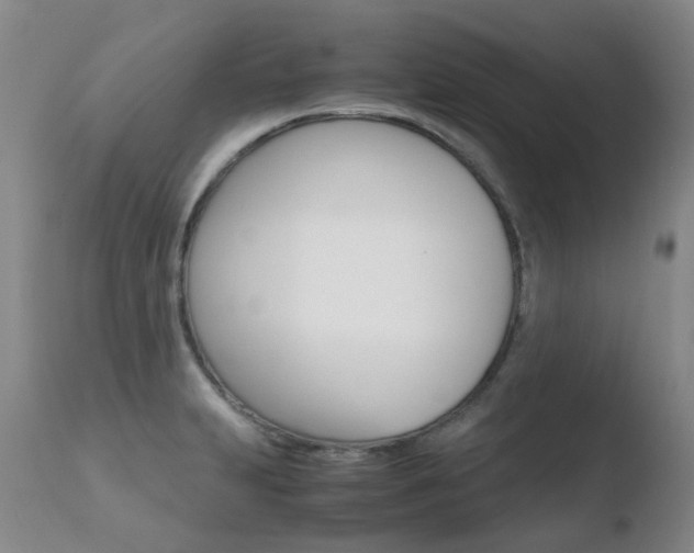 X0000110771231200906150946