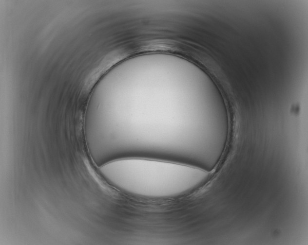 X0000110771233200906150946