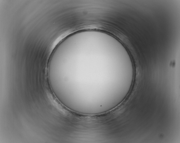 X0000110771234200906150946