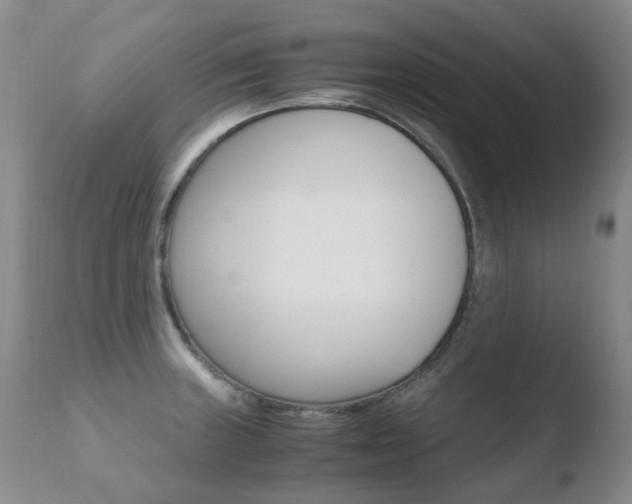 X0000110771235200906150946