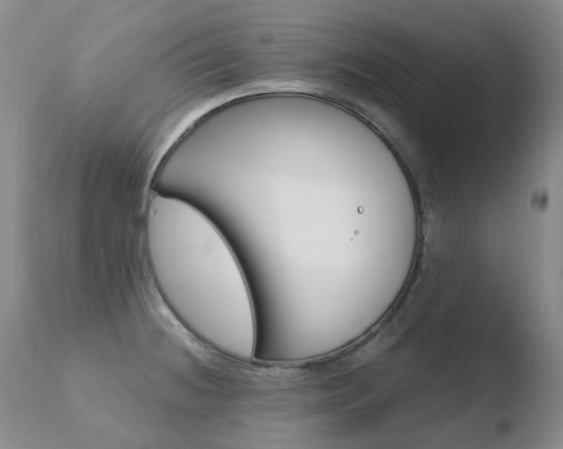 X0000110771236200906150946