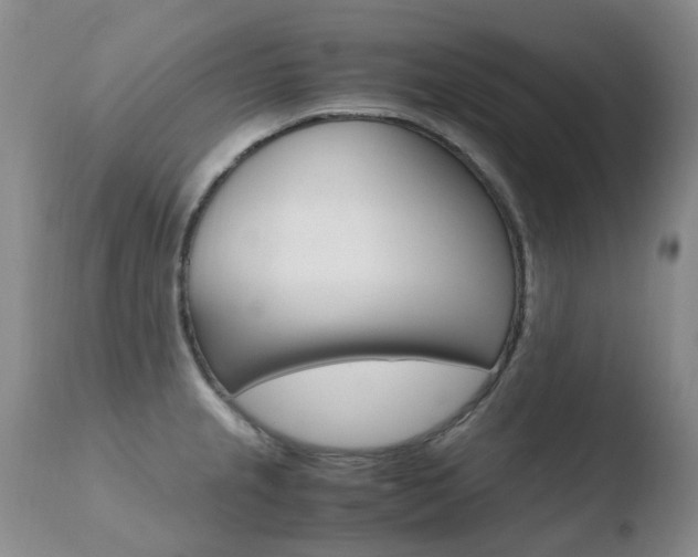 X0000110771237200906150946