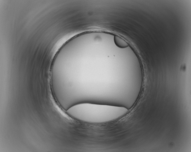 X0000110771239200906150946
