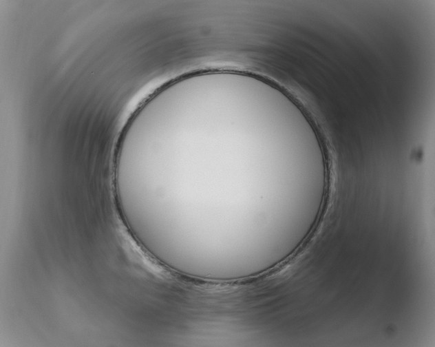 X0000110771240200906150946
