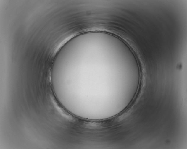 X0000110771241200906150946