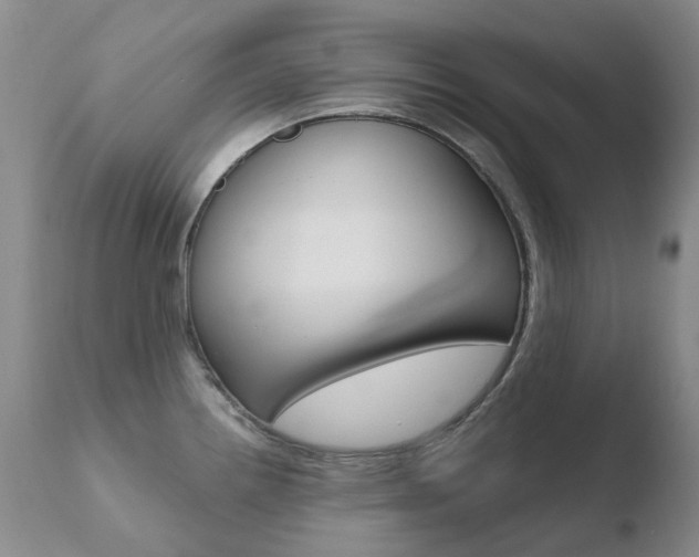 X0000110771242200906150946