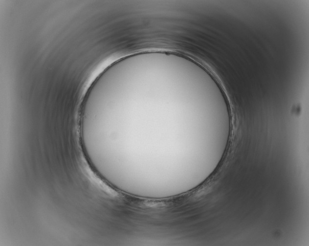 X0000110771243200906150946