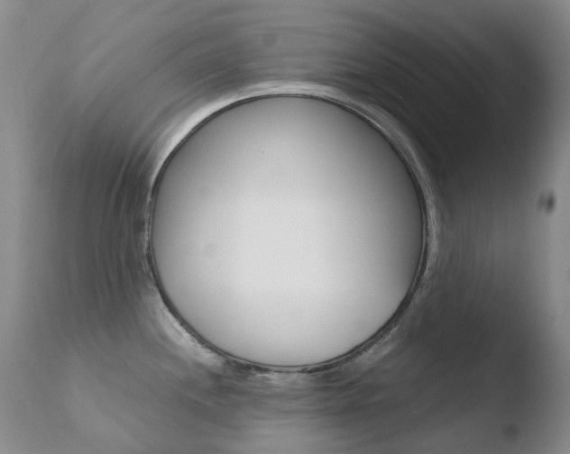X0000110771244200906150946