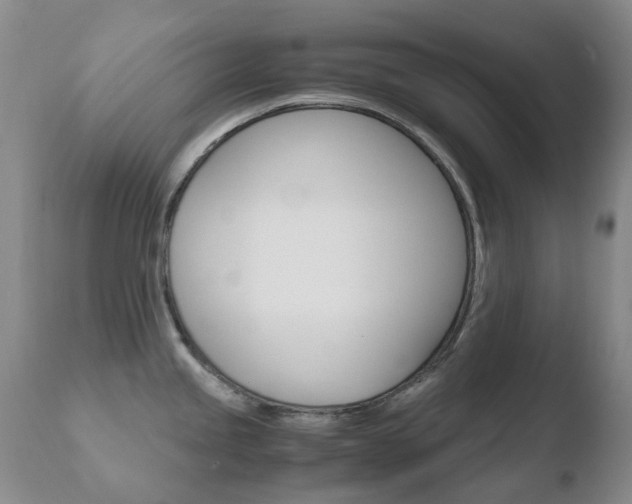 X0000110771245200906150946