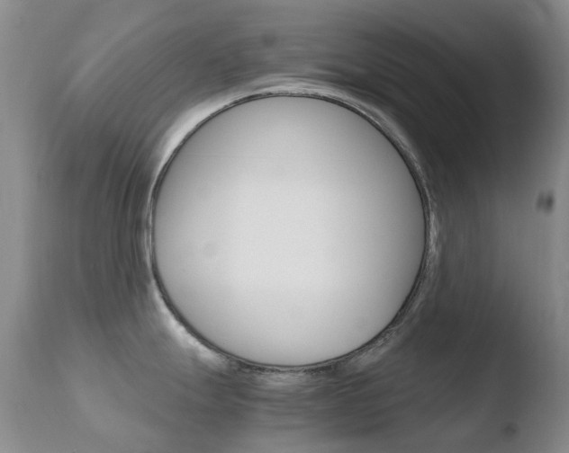 X0000110771247200906150946
