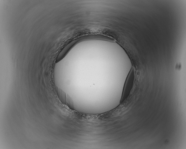 X0000110771249200906150945