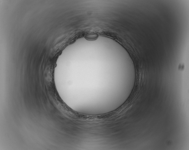 X0000110771250200906150945