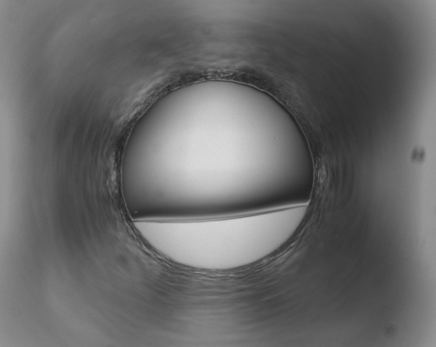X0000110771252200906150945