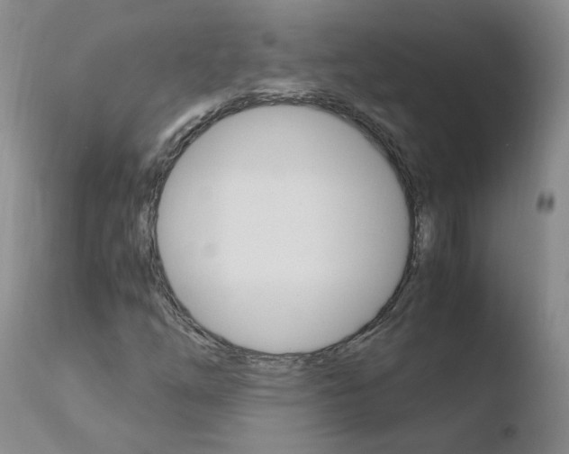 X0000110771254200906150945