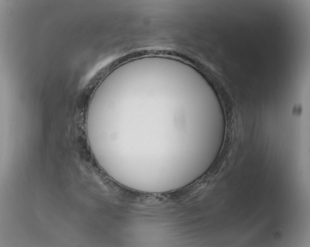 X0000110771255200906150945
