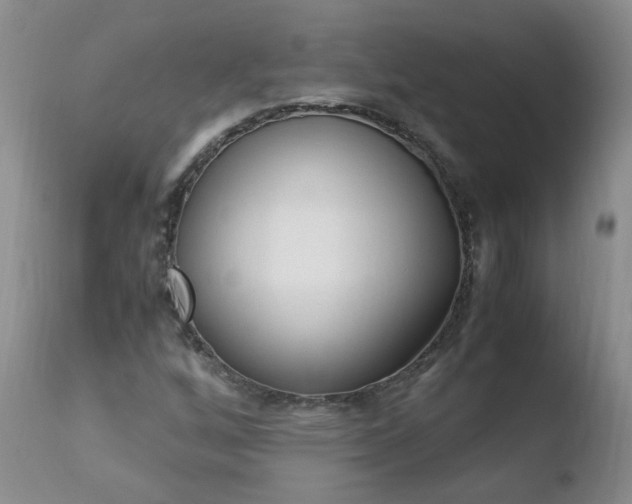 X0000110771256200906150945