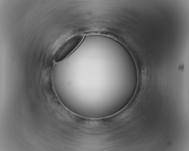 X0000110771257200906150945