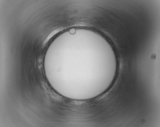 X0000110771258200906150945