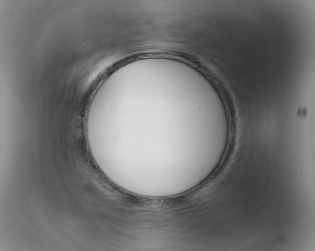X0000110771259200906150945