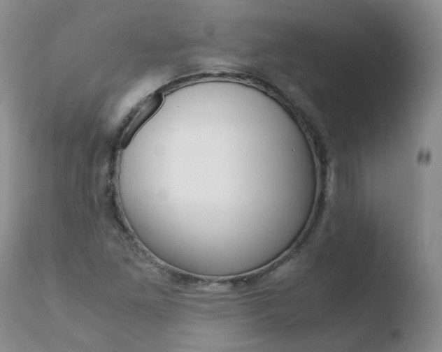 X0000110771261200906150945