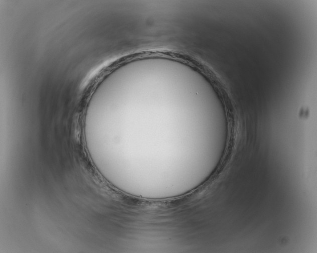 X0000110771262200906150945