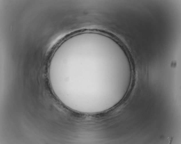X0000110771263200906150945