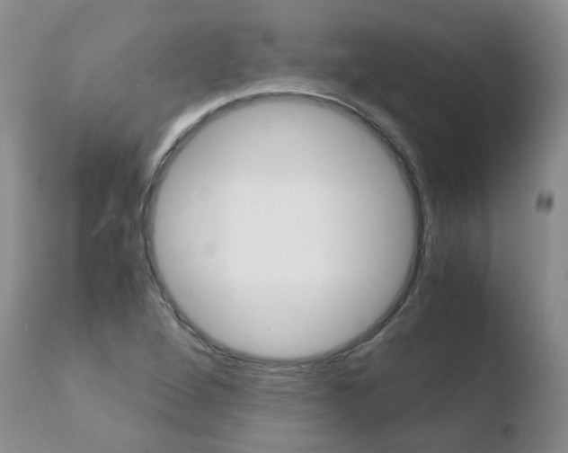 X0000110771264200906150945