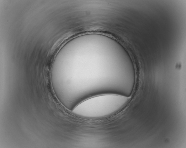 X0000110771265200906150945