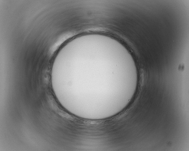 X0000110771266200906150945