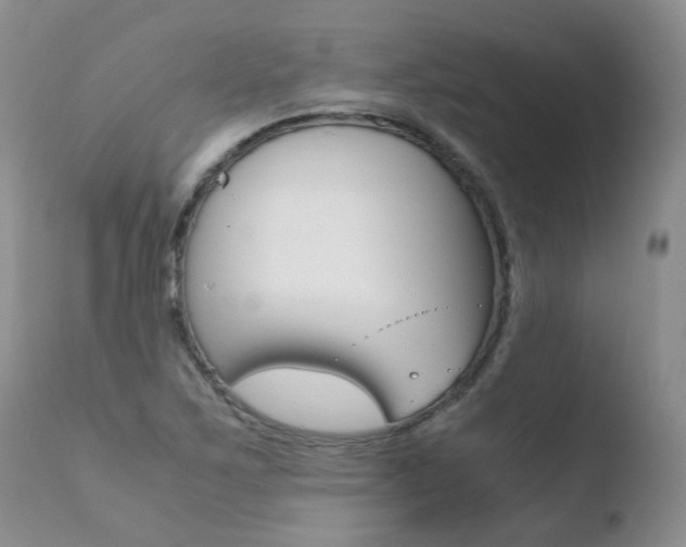 X0000110771267200906150945