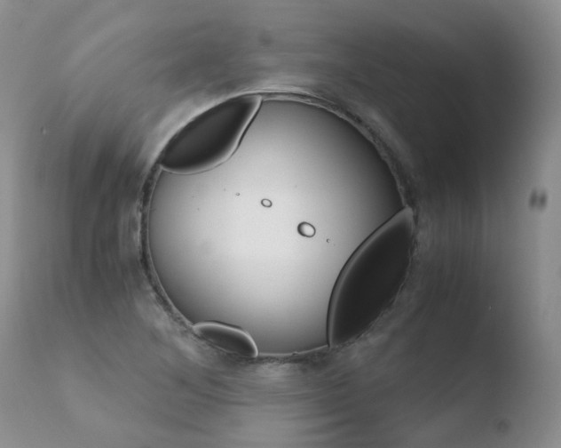 X0000110771268200906150945