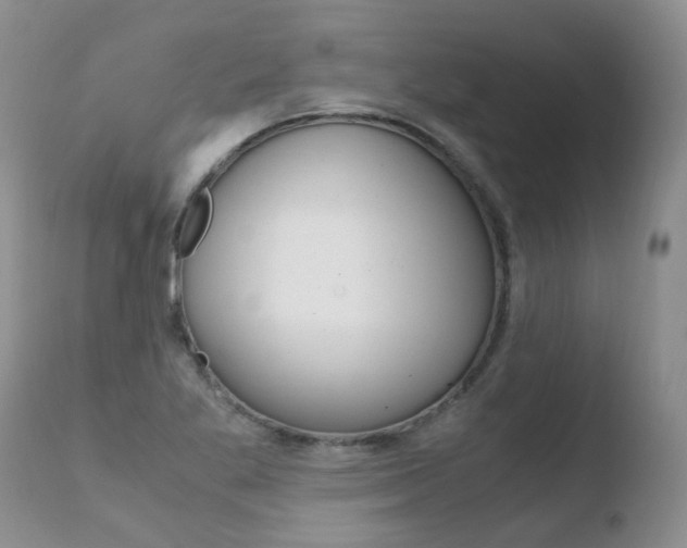 X0000110771269200906150945