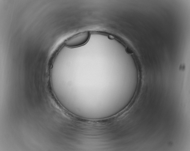 X0000110771270200906150945